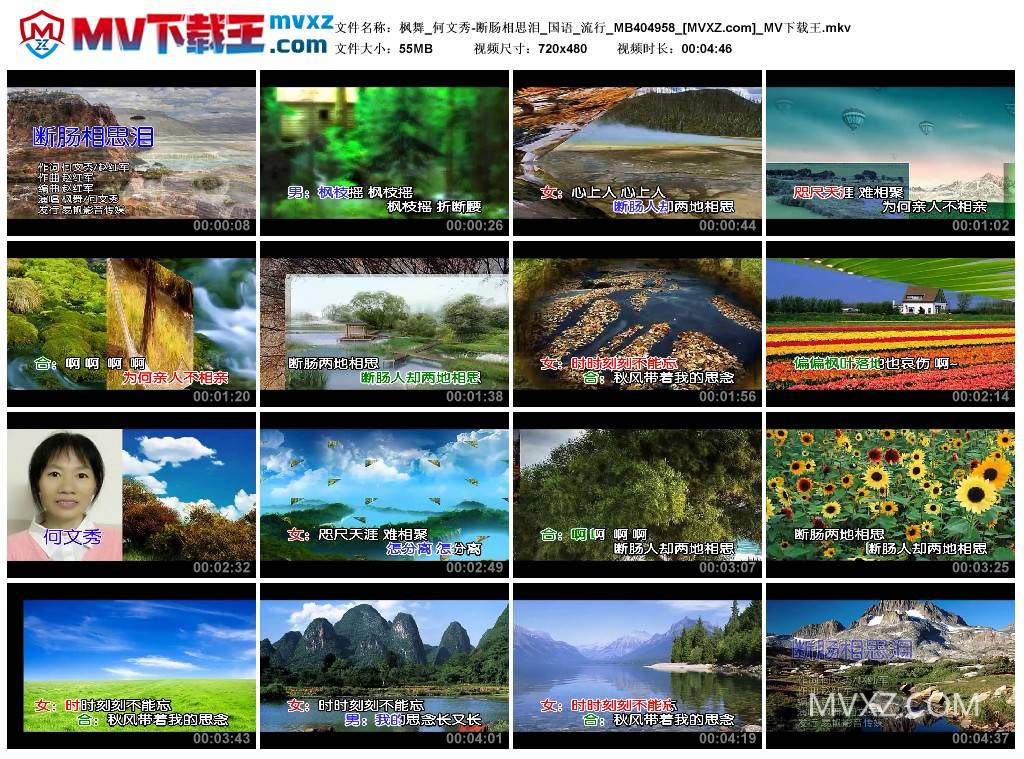 枫舞_何文秀-断肠相思泪_国语_流行_MB404958